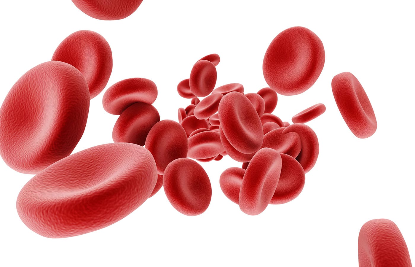 A digital illustration of numerous red blood cells on a white background. The cells appear to be floating freely, showcasing their characteristic bi-concave disk shape and vibrant red color, similar to what a veterinarian might observe under a microscope. The image highlights their smooth texture and varied orientations.