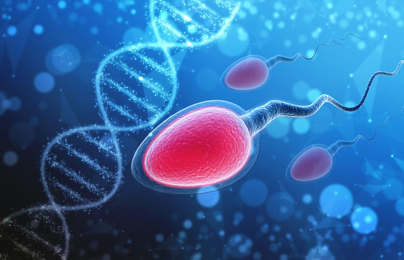 Illustration of sperm cells swimming towards a large DNA double helix structure. The background is filled with shades of blue and small light particles, creating an impression of a microscopic biological environment. Perfect for a veterinarian's study, the image highlights themes of reproduction and genetics.